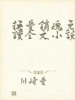 换爱销魂免费阅读全文小说最新章节封面