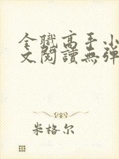 全职高手小说全文阅读无弹窗