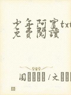 少年阿宾txt免费阅读
