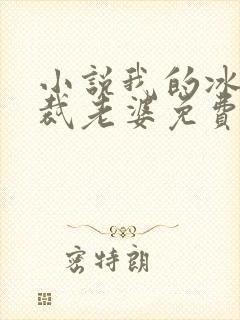 小说我的冰山总裁老婆免费看封面