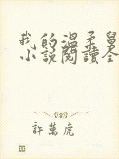 我的温柔舅妈妈小说阅读全文