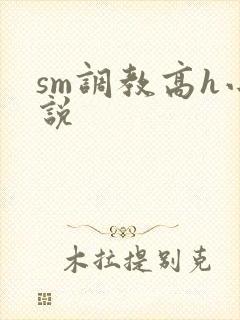 sm调教高h小说