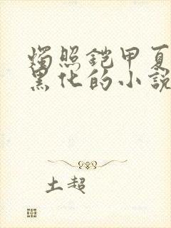 烛照铠甲夏千梦黑化的小说叫什么