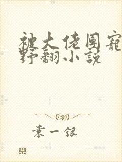 被大佬团宠后我野翻小说