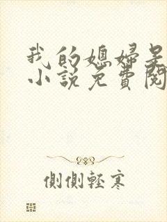 我的媳妇是苏玥小说免费阅读