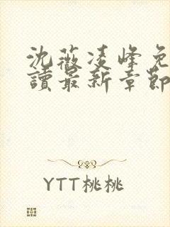 沈薇凌峰免费阅读最新章节更新封面