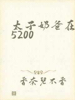 太子奶爸在花都5200