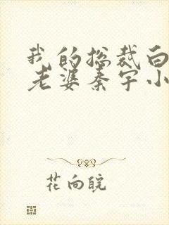 我的总裁白富美老婆秦宇小说读书阁