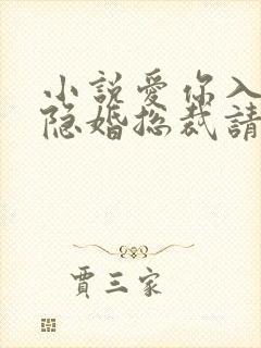 小说爱你入骨,隐婚总裁请签字未删减