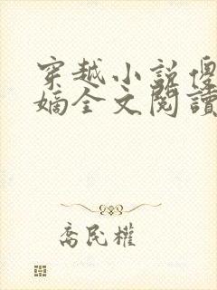 穿越小说傻王夺嫡全文阅读