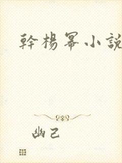干杨幂小说