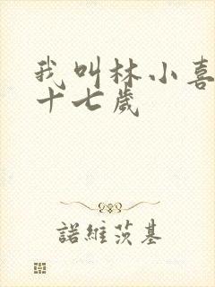 我叫林小喜今年十七岁