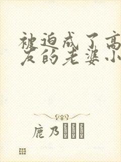 被迫成了高冷室友的老婆小说阅读免费