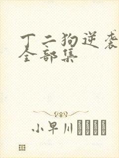 丁二狗逆袭人生全部集封面