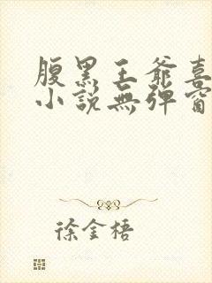 腹黑王爷喜当爹小说无弹窗