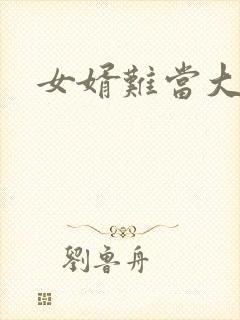 女婿难当大结局封面