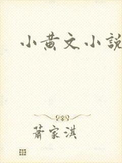小黄文小说