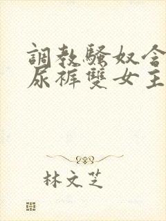调教骚奴含着纸尿裤双女主女攻小说