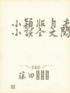 小颖版月老小颖小说全文阅读