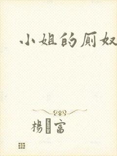 小姐的厕奴