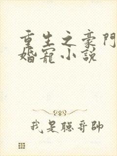 重生之豪门第一婚宠小说