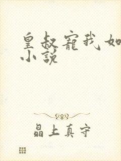 皇叔宠我如命l小说