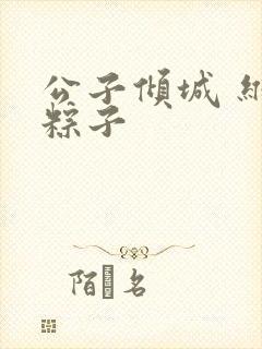 公子倾城 维和粽子