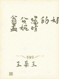 翁公您的好长呀孟婉晴封面