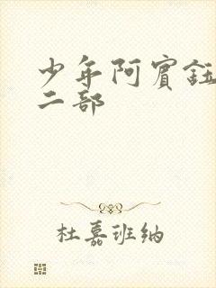 少年阿宾钰慧第二部