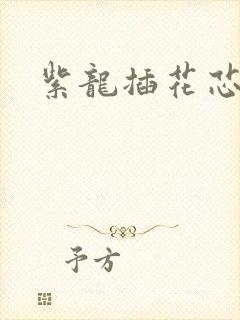 紫龙插花芯