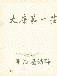 大唐第一庄