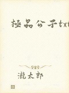 极品公子txt