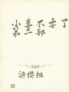 小喜不要了好大第二部封面