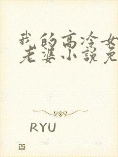 我的高冷女总裁老婆小说免费