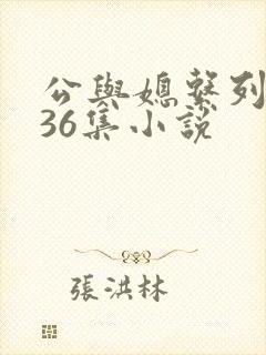 公与媳系列1—36集小说