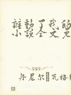 谁动了我的老婆小说全文免费阅读一