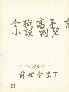 全职高手 有声小说 刺儿