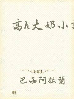 高h大奶小说