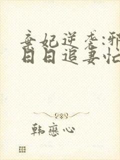 弃妃逆袭:邪王日日追妻忙电子版