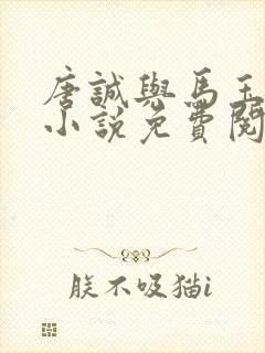 唐诚与马玉婷的小说免费阅读
