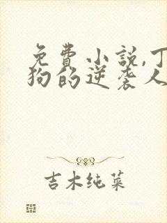 免费小说,丁二狗的逆袭人生