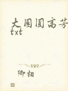 大团圆高芳小说txt