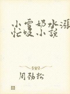 小雪奶水涨公帮忙吸小说封面