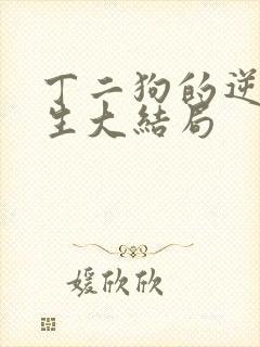 丁二狗的逆袭人生大结局