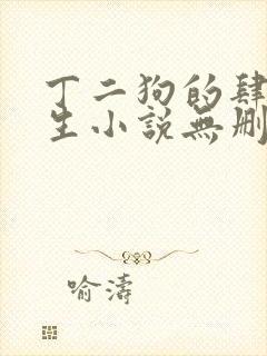丁二狗的肆意人生小说无删减封面