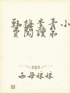 韩梅李青小说免费阅读第封面
