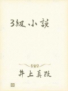 3级小说