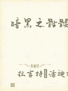 暗黑之骷髅王封面