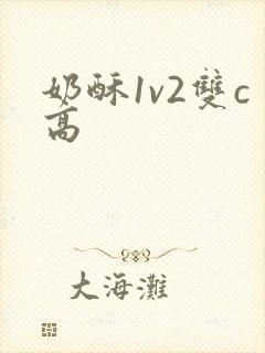 奶酥1v2双c高封面