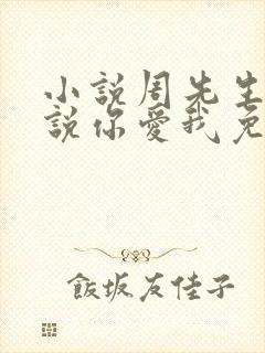 小说周先生,听说你爱我免费阅读23